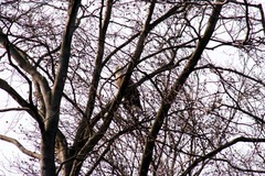 Killikus&reg; Fotographie